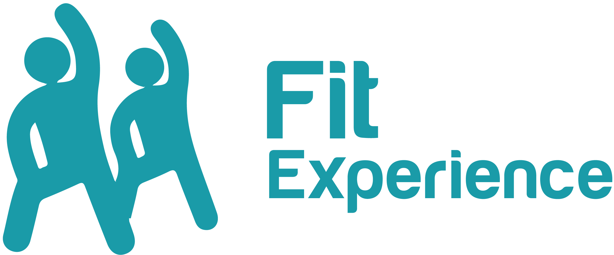 Fit experience ico